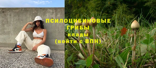 мдпв Богородицк