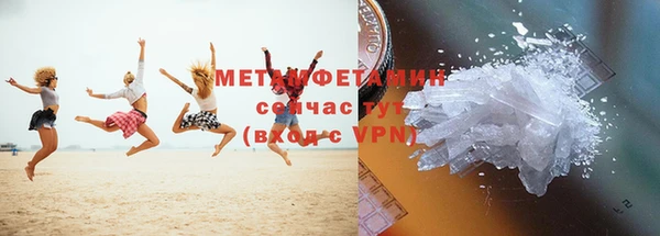 молекула духа Богданович
