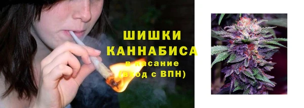 мдпв Богородицк