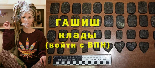 молекула духа Богданович