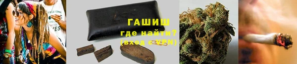 молекула духа Богданович