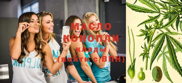 молекула духа Богданович