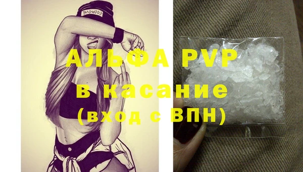 молекула духа Богданович