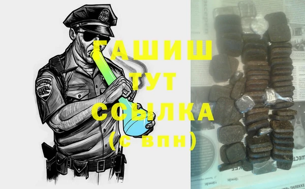 молекула духа Богданович