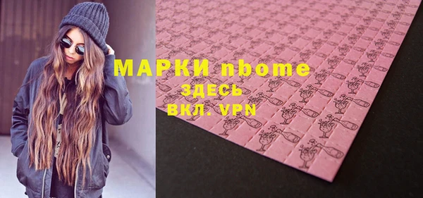 молекула духа Богданович
