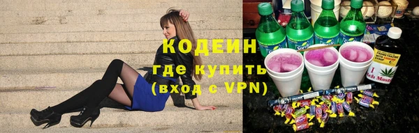 молекула духа Богданович