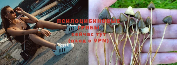 молекула духа Богданович