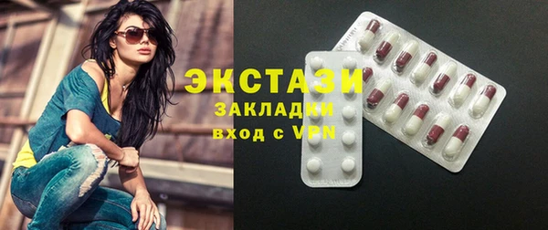 молекула духа Богданович