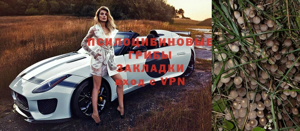 молекула духа Богданович