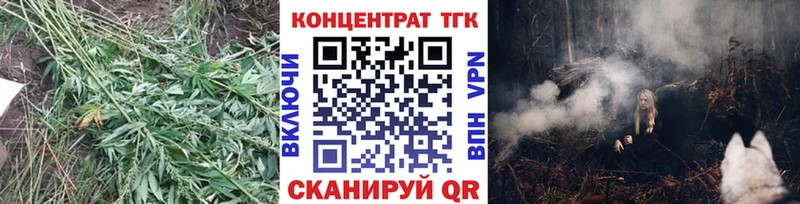 Купить  Красный Кут  ТГК гашишное масло 